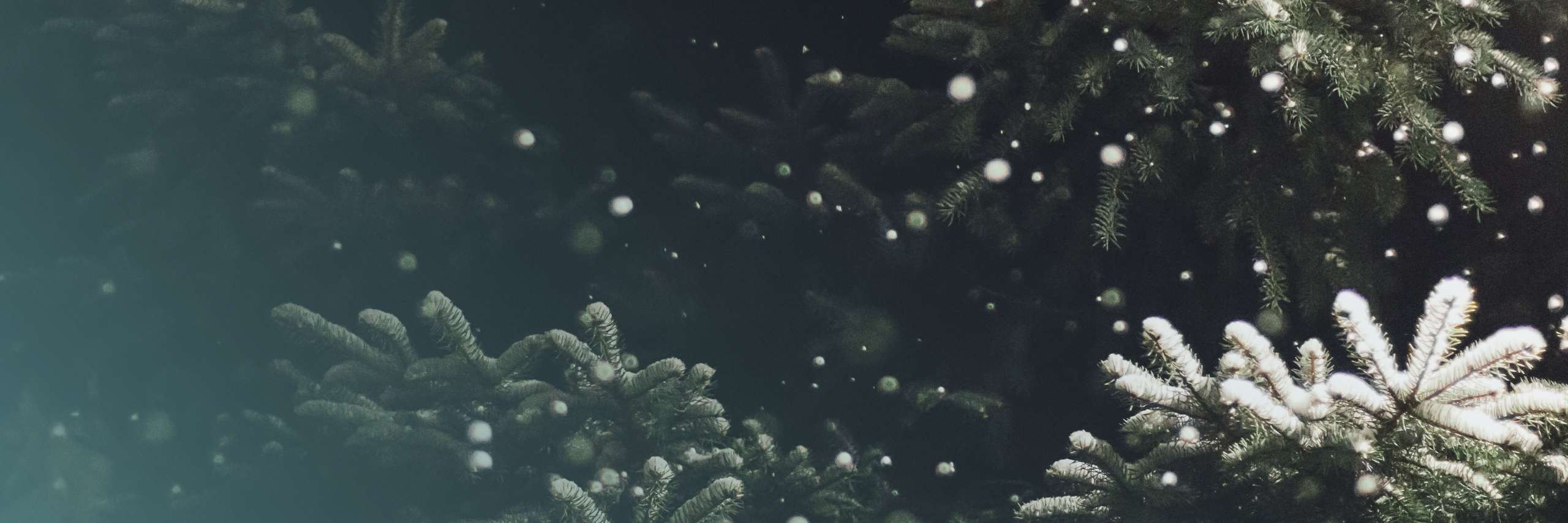 DEV ePartner PRO header image