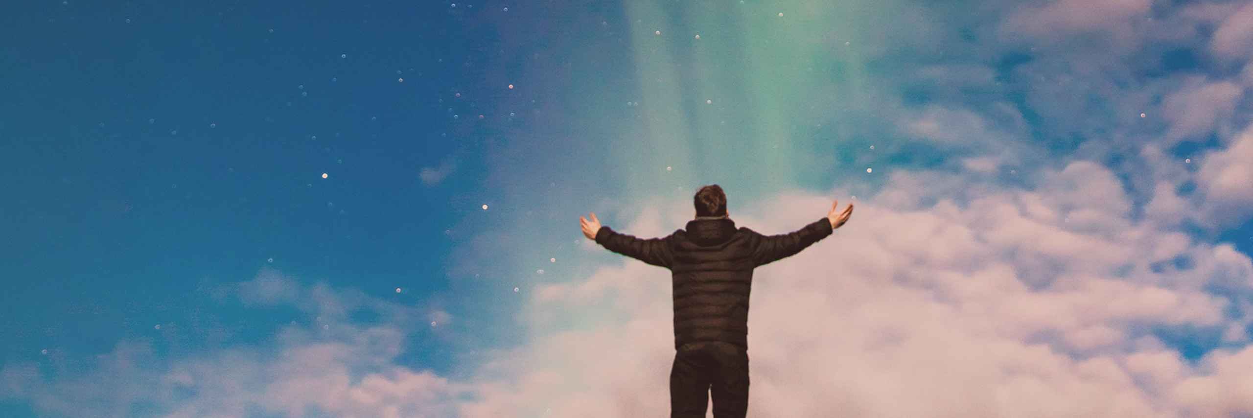 DEV ePartner PRO header image