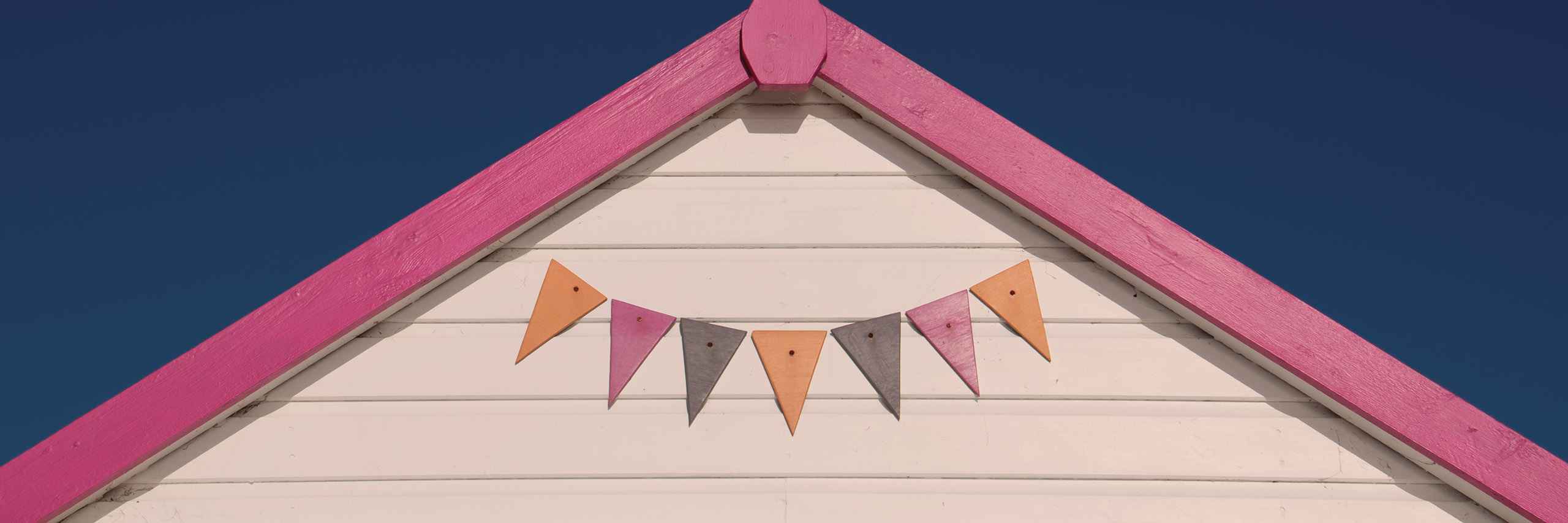 DEV ePartner PRO header image