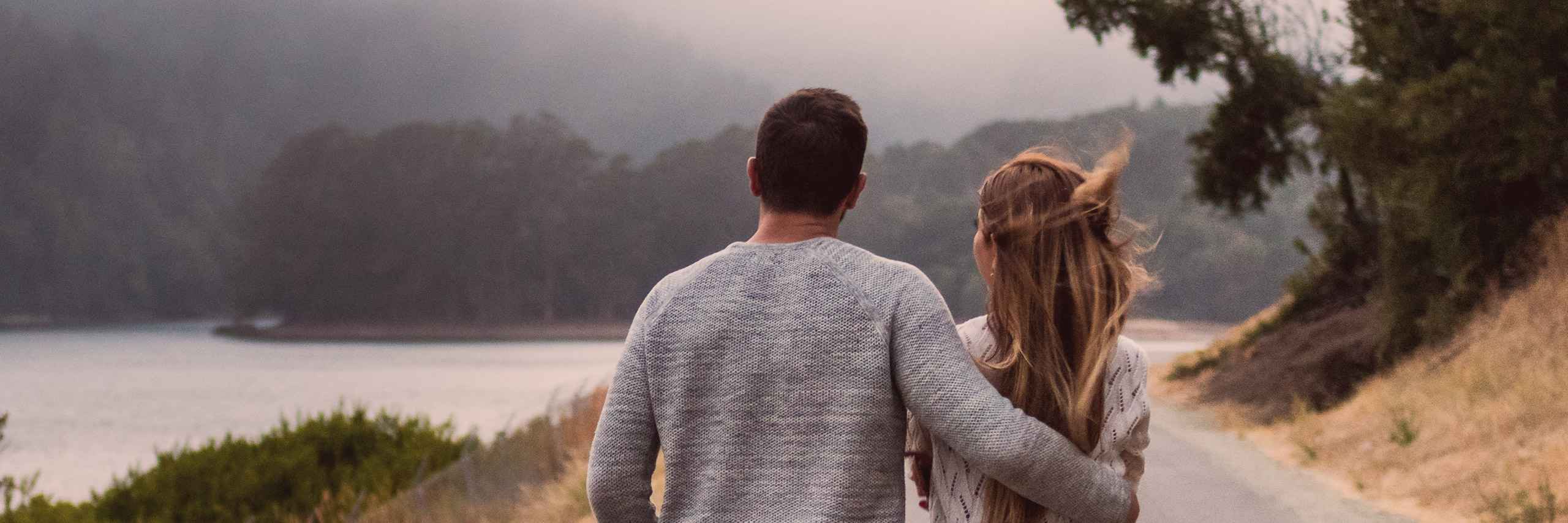 DEV ePartner PRO header image