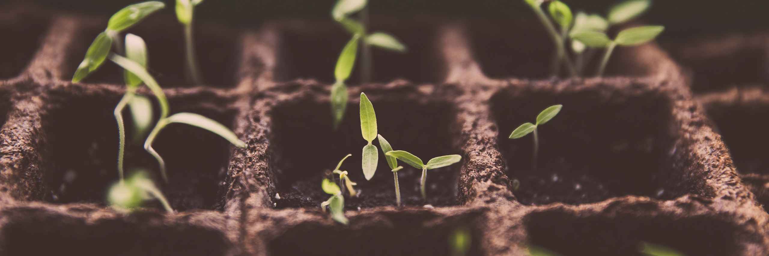 DEV ePartner PRO header image