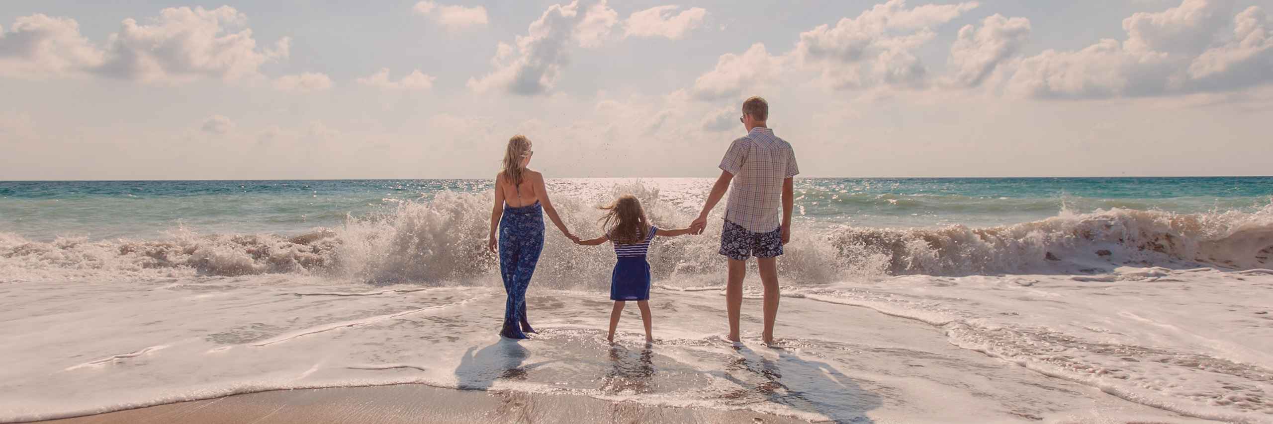 DEV ePartner PRO header image